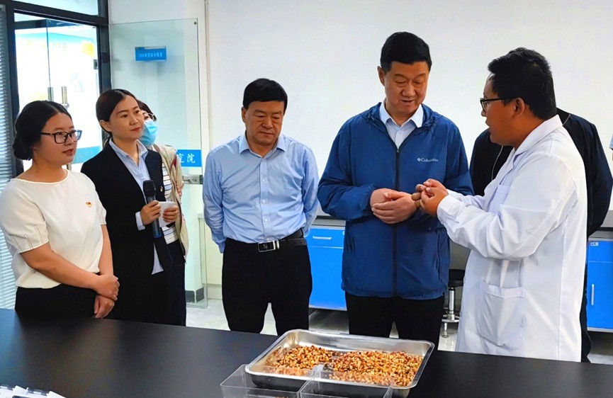 甘肅省地方金融監(jiān)管局、甘肅證監(jiān)局領(lǐng)導(dǎo)蒞臨敦煌種業(yè)調(diào)研指導(dǎo)